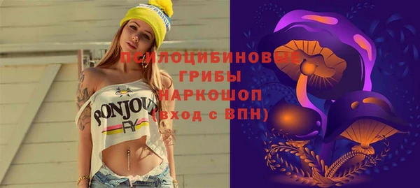 дживик Баксан