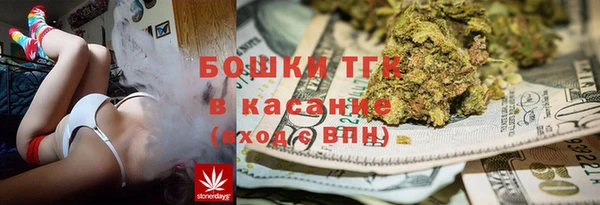 тгк Гусь-Хрустальный