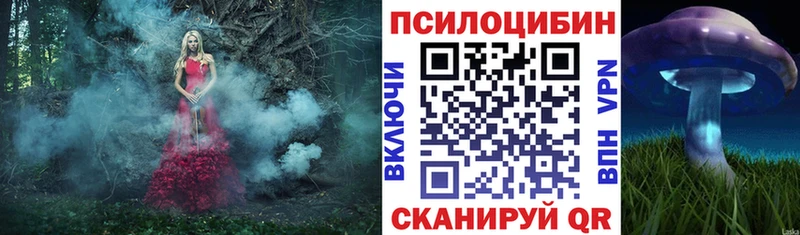Галлюциногенные грибы Psilocybine cubensis  Калуга 
